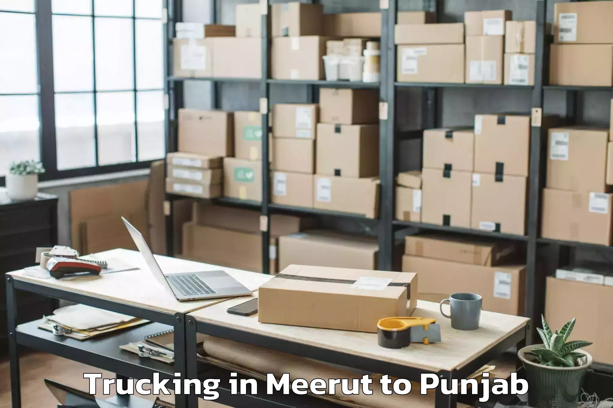 Reliable Meerut to Sultanpur Lodhi Trucking